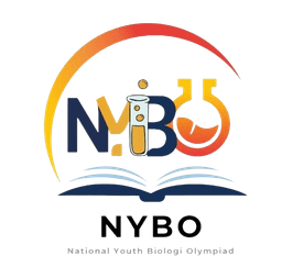 NYBO Logo